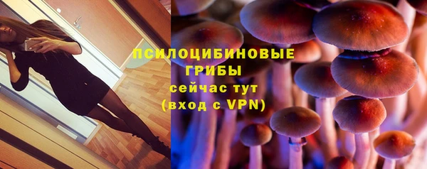 не бодяженный Алзамай