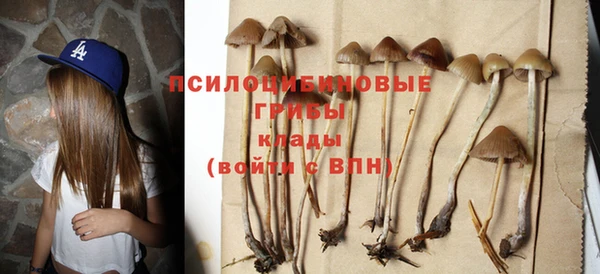 не бодяженный Алзамай
