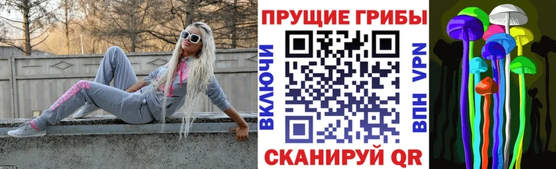blacksprut tor  Дзержинский  Псилоцибиновые грибы Magic Shrooms  дарнет шоп 